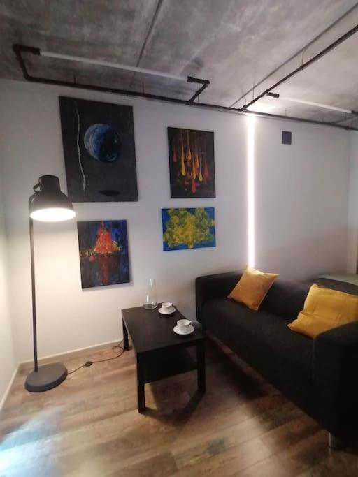 Erdvi Studija Spacious Studio Apartment Self Check In Vilnius Luaran gambar